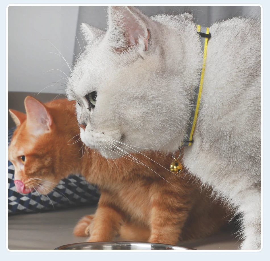 ROJECO Adjustable Cat Collar with Bell & Reflective Strip – Safety Breakaway Necklace for Cats & Kittens