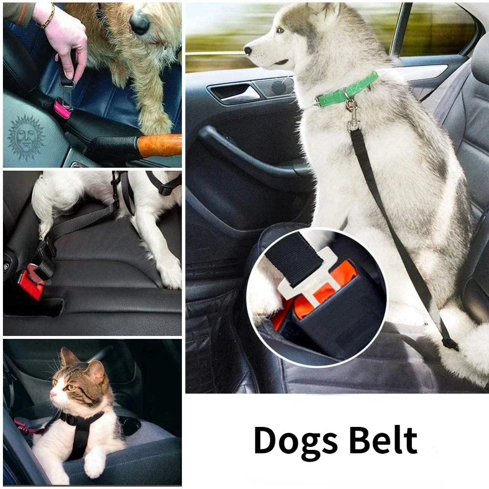 Pet Car Safety Belt – Adjustable Dog & Cat Harness Clip