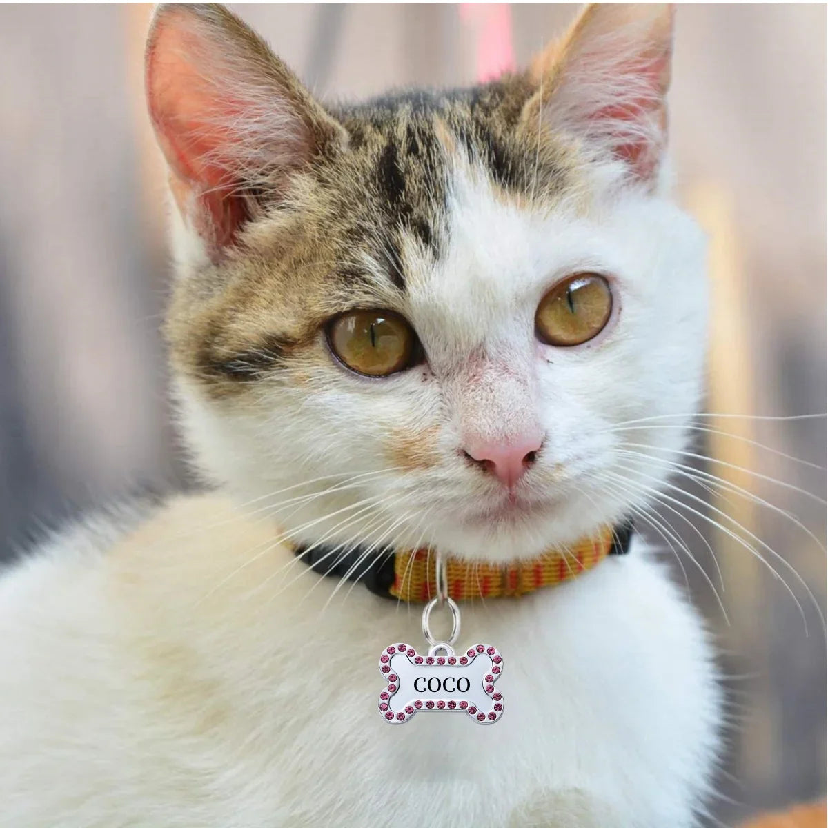 Personalized Engraved Pet ID Tag – Custom Name & Phone for Dogs & Cats