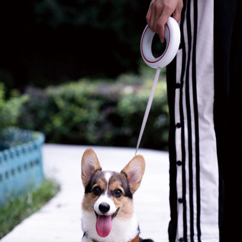 MOESTAR Retractable Dog Leash Lite – 3M Hands-Free Walking Rope for Dogs Up to 30kg | CE & FCC Certified
