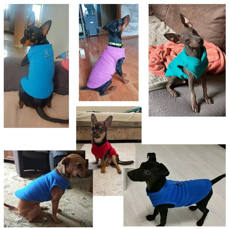 Soft Fleece Pet Vest Jacket with D-Ring | Dog & Cat Winter Coat