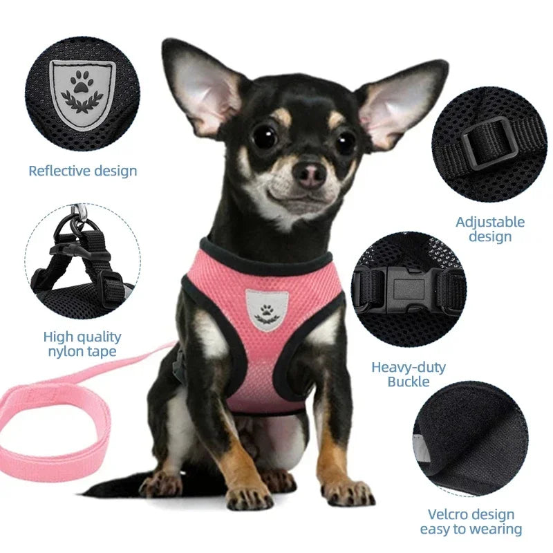 Adjustable Reflective Cat & Dog Harness Vest with Leash – Soft Mesh | S/M/L