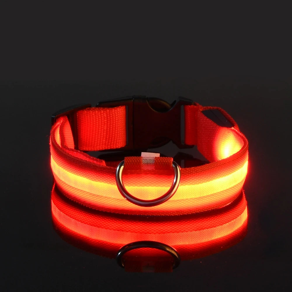 LED Light-Up Dog Collar – Nylon Night Safety Flashing Collar for Dogs