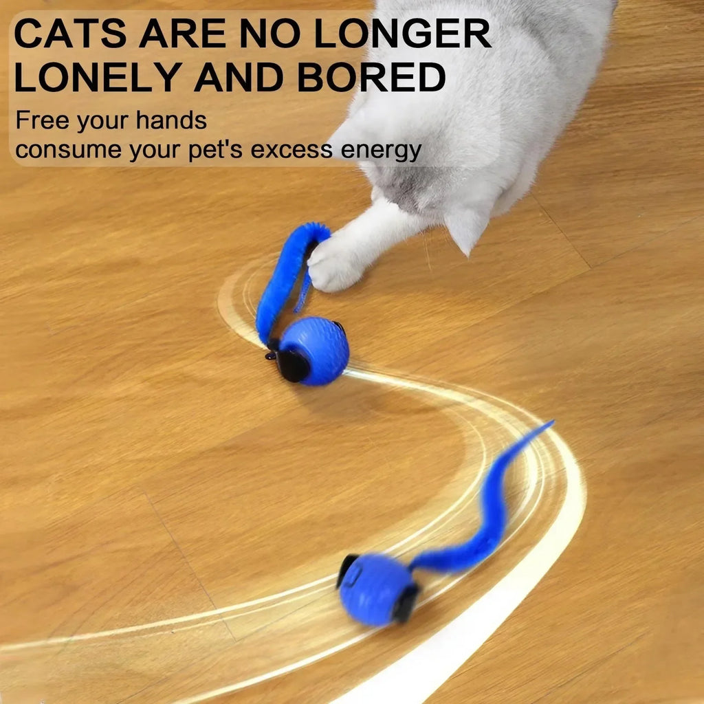 Smart Interactive Cat Ball Toy – Auto-Rolling LED with 3 Speed Modes