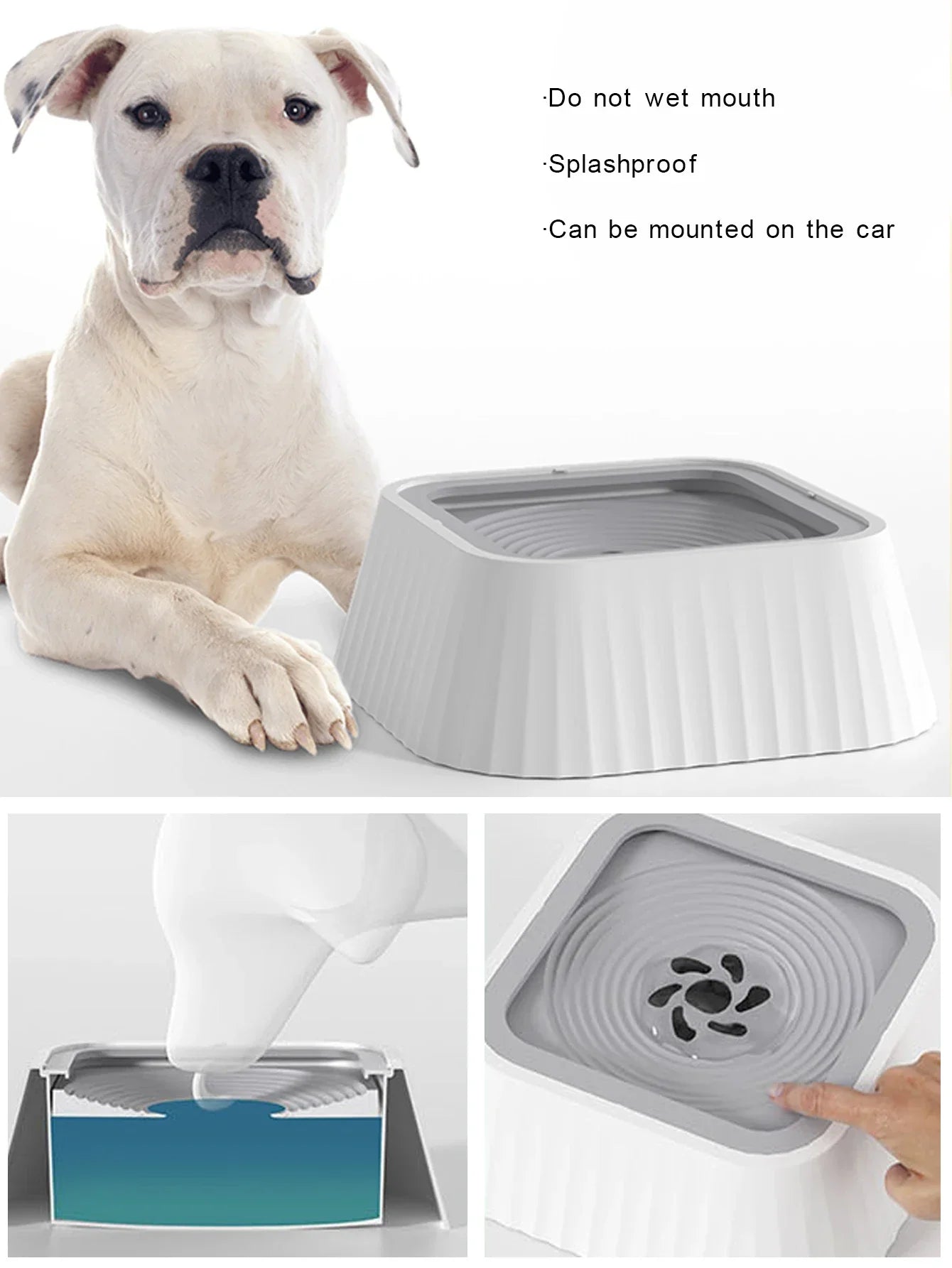 Anti-Splash Dog Water Bowl with Floating Plate – Slow Feeder, No-Spill, Clean Drinking | 22cm