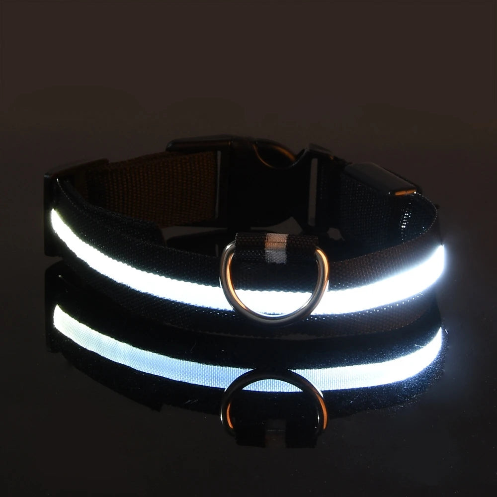 LED Light-Up Dog Collar – Nylon Night Safety Flashing Collar for Dogs