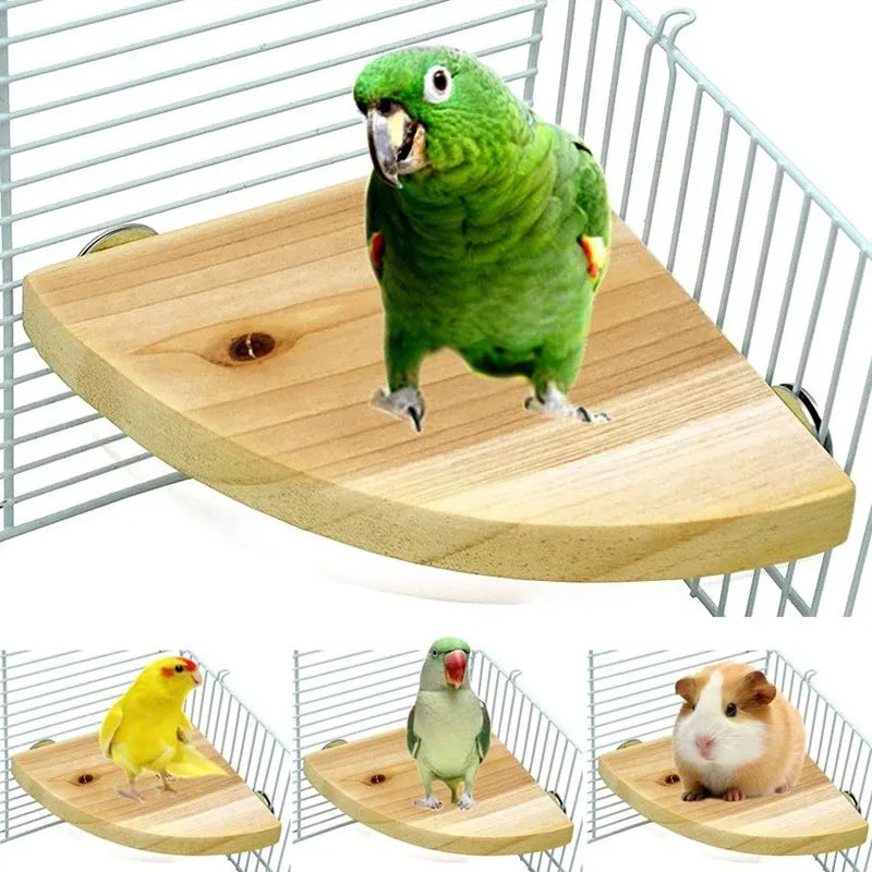 Natural Wood Bird Perch Stand – Multi-Size Platform for Parrots, Parakeets & Small Pets