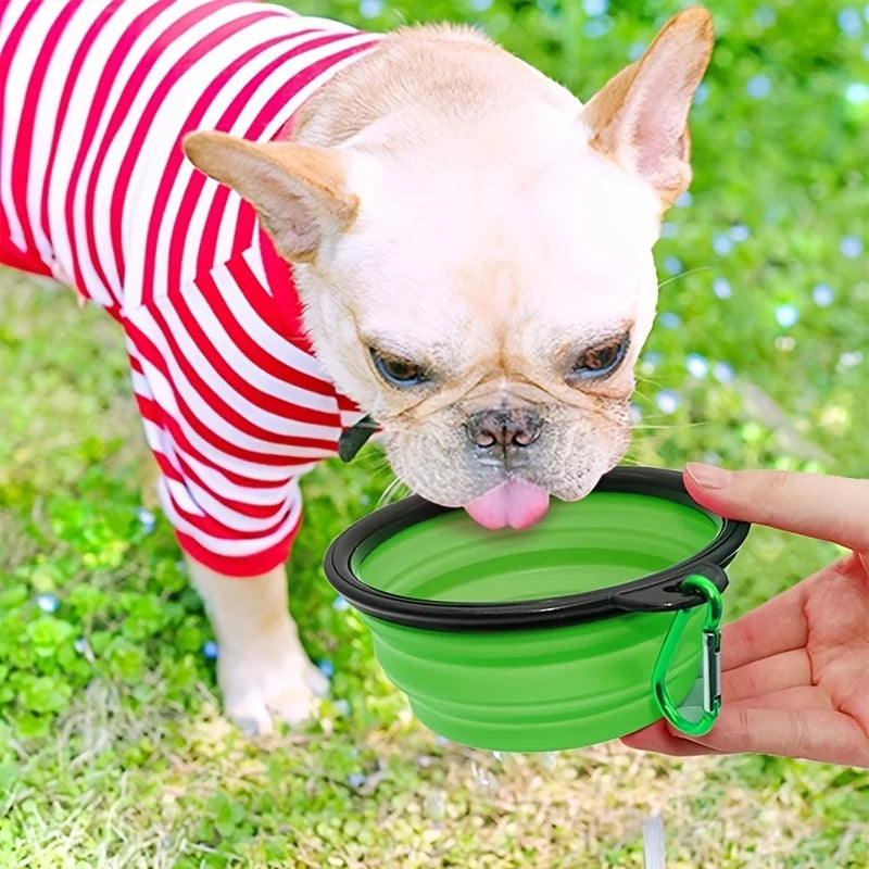 Portable Collapsible Pet Bowl – Silicone Travel Bowl for Dogs & Cats | 350ml