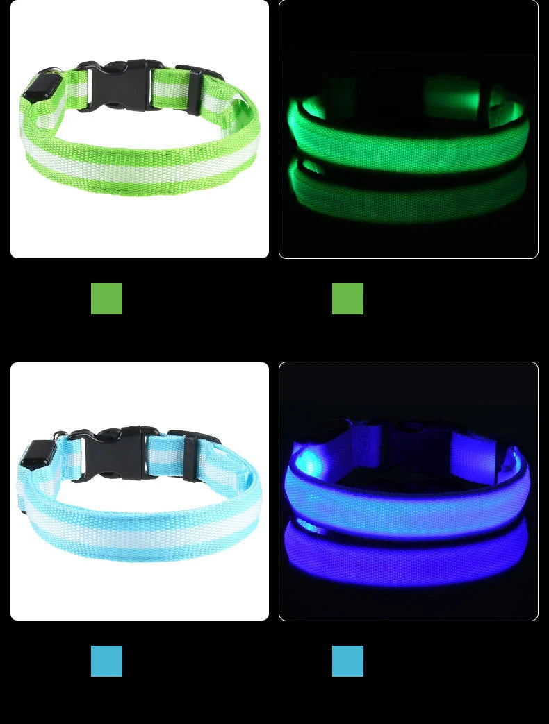 LED Light-Up Dog Collar – Nylon Night Safety Flashing Collar for Dogs