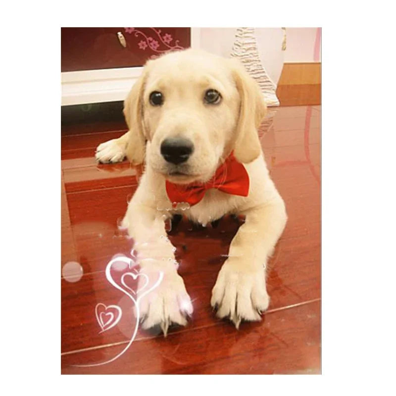 Adjustable Pet Bow Tie – Cats & Dogs | Stylish Collar Accessory