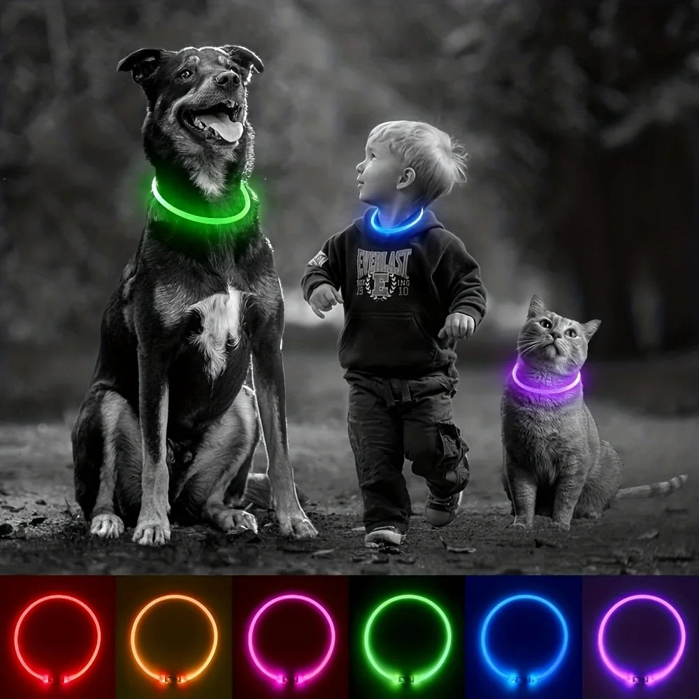 LED Dog Collar – USB Rechargeable Luminous Safety Collar for Night Walks