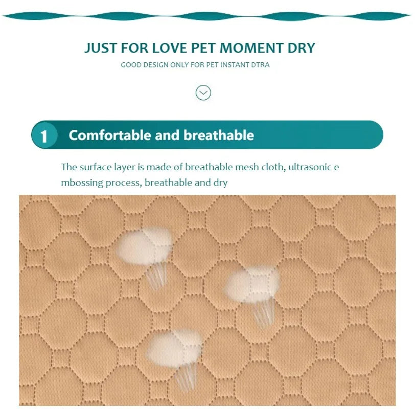Premium Washable Dog Training Pad & Pet Protection Mat