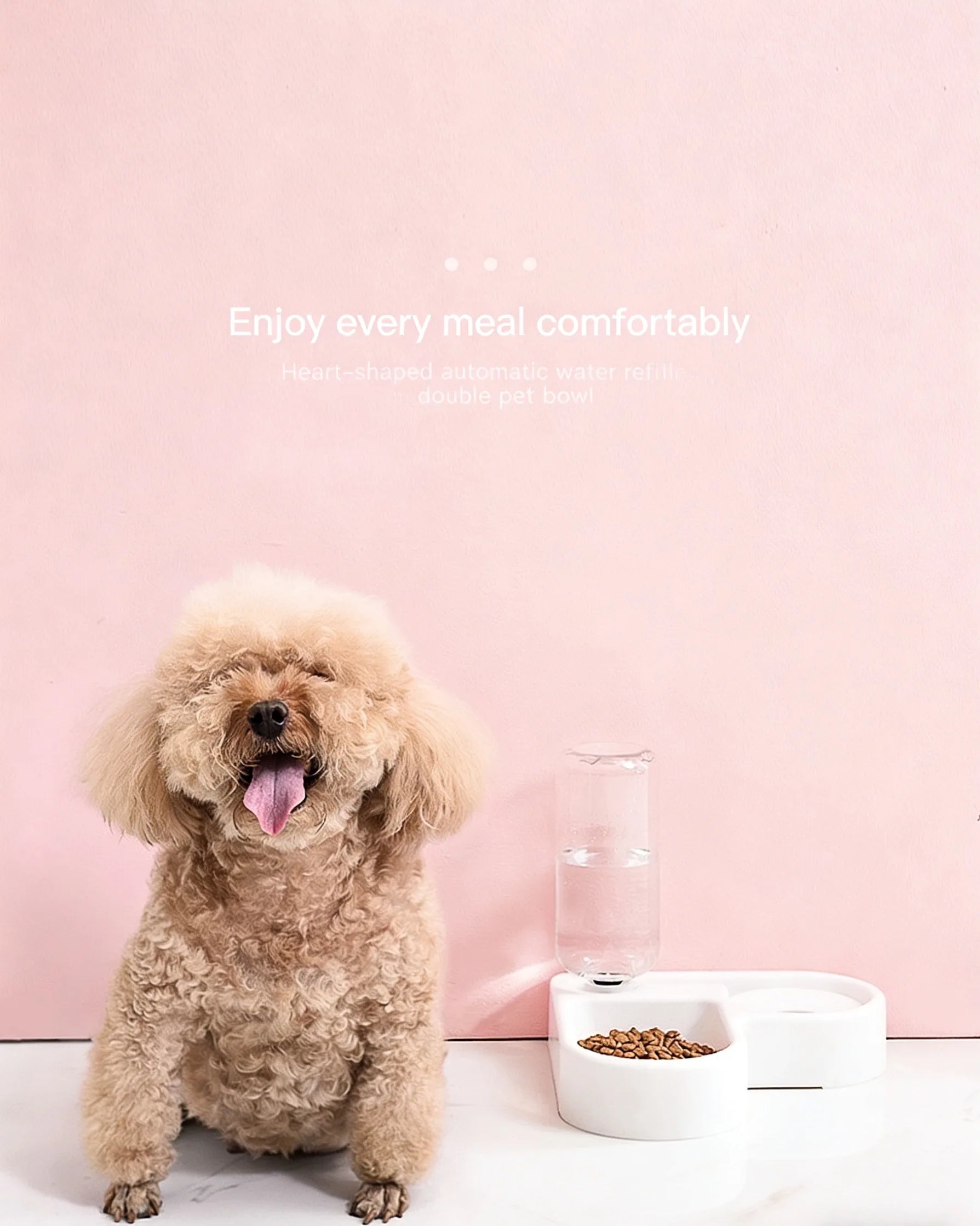 2-in-1 Pet Feeding Set – Food Bowl & Automatic Water Dispenser for Cats & Small Dogs