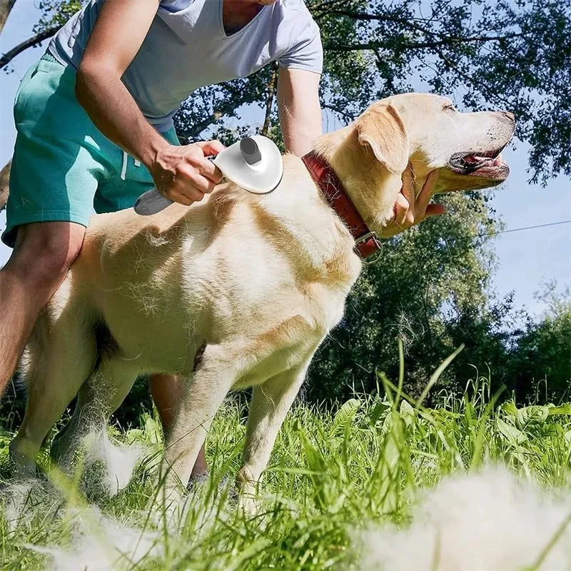 Self-Cleaning Pet Slicker Brush – Grooming & Dematting Comb for Dogs & Cats