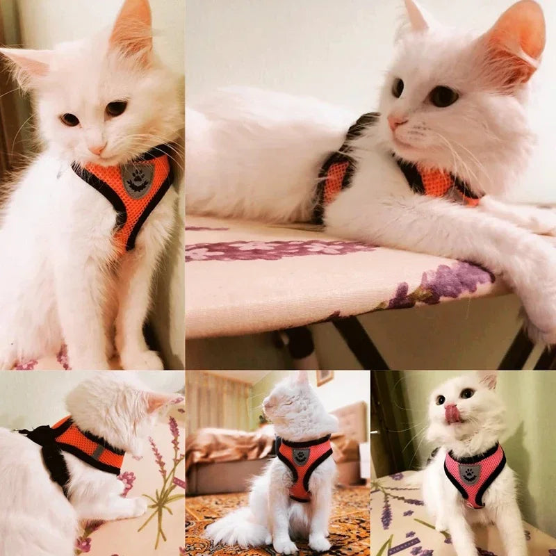 Adjustable Reflective Cat & Dog Harness Vest with Leash – Soft Mesh | S/M/L