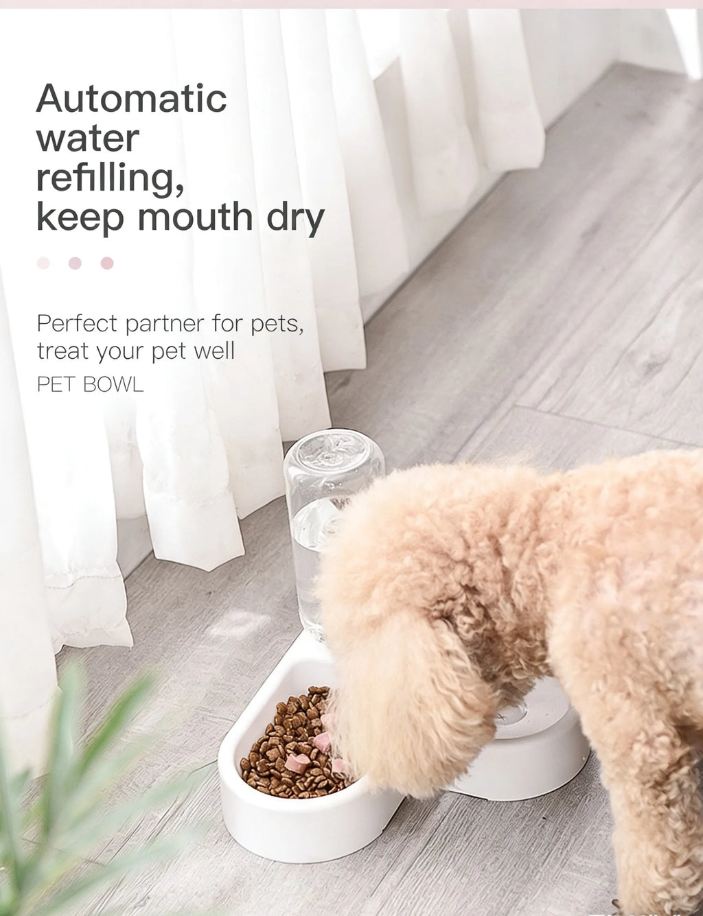 2-in-1 Pet Feeding Set – Food Bowl & Automatic Water Dispenser for Cats & Small Dogs