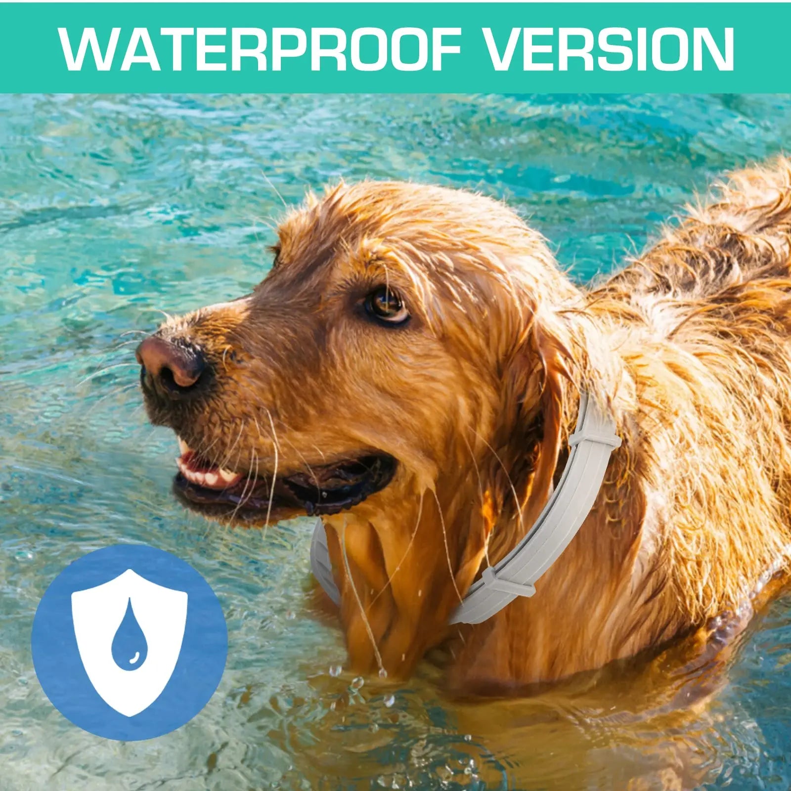 Flea & Tick Protection Collar for Dogs & Cats