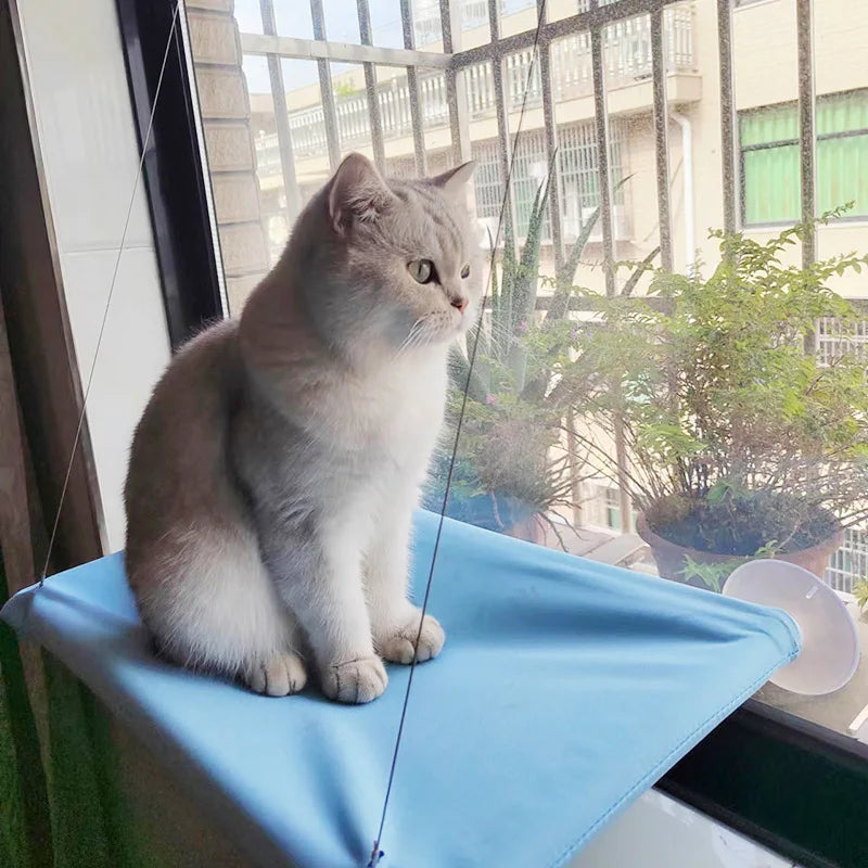 Cat Hammock Window Perch – Cozy Hanging Bed for Cats up to 20 kg