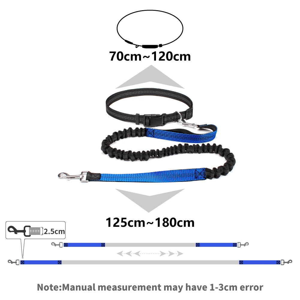 Hands-Free Dog Leash – Adjustable Waist Belt with Reflective Bungee for Running & Walking
