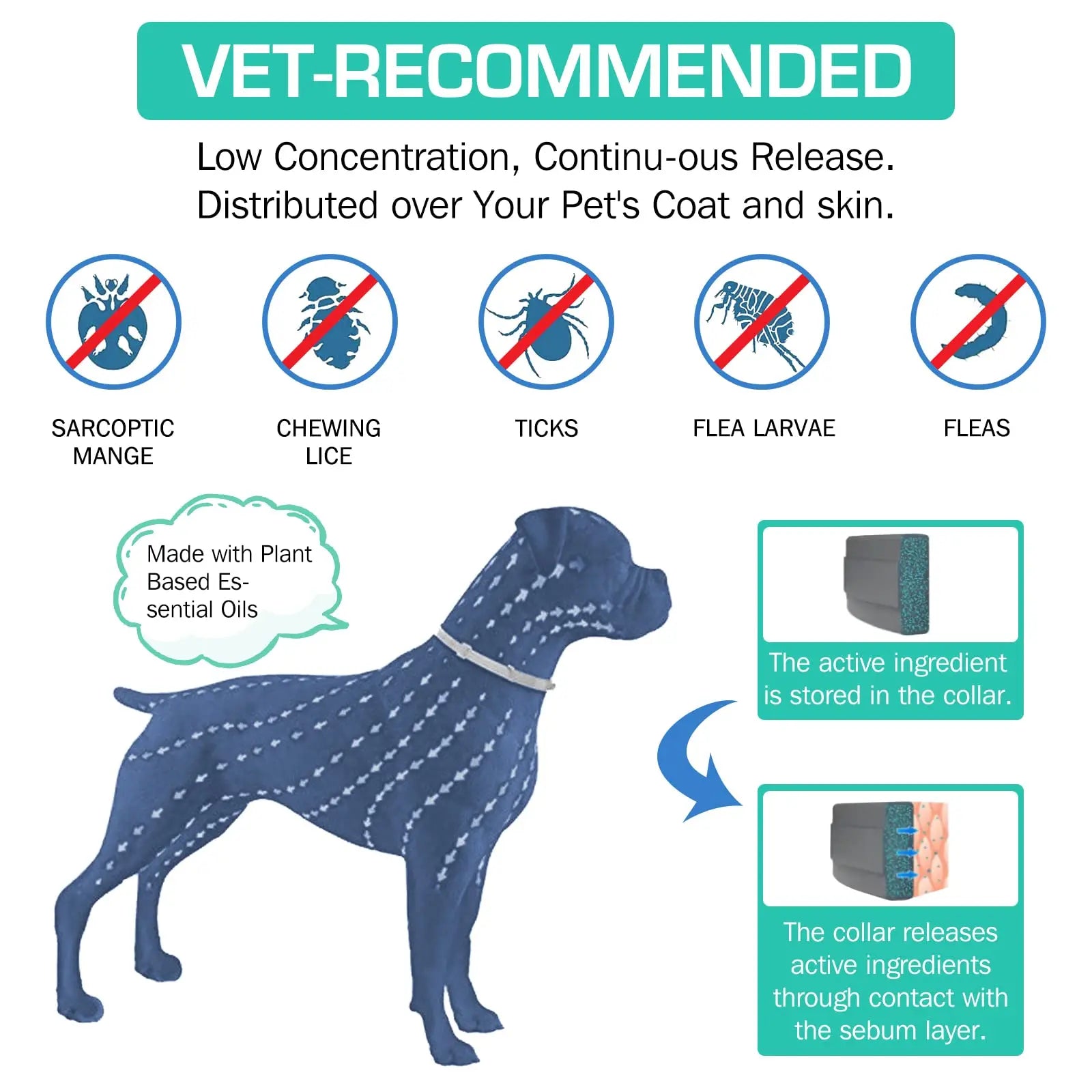 Flea & Tick Protection Collar for Dogs & Cats