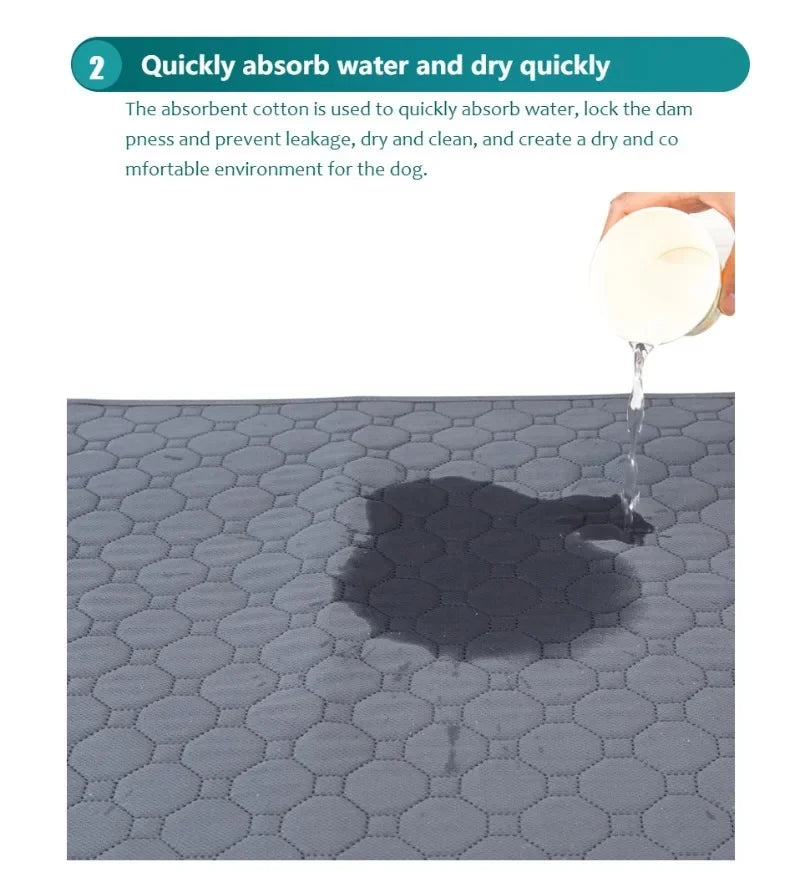 Premium Washable Dog Training Pad & Pet Protection Mat