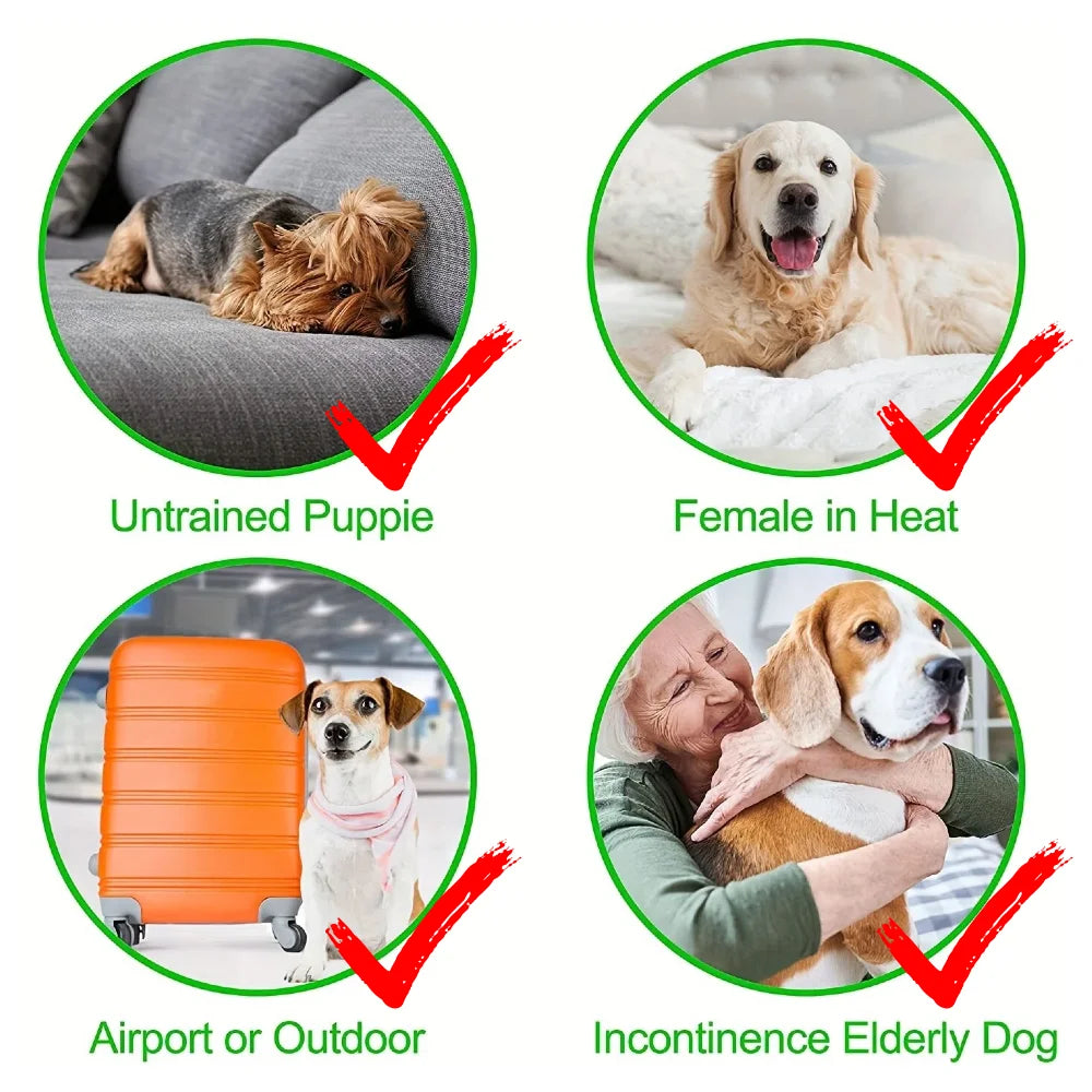 Washable Female Dog Diapers – 3-Pack | Reusable & Waterproof Pet Panties