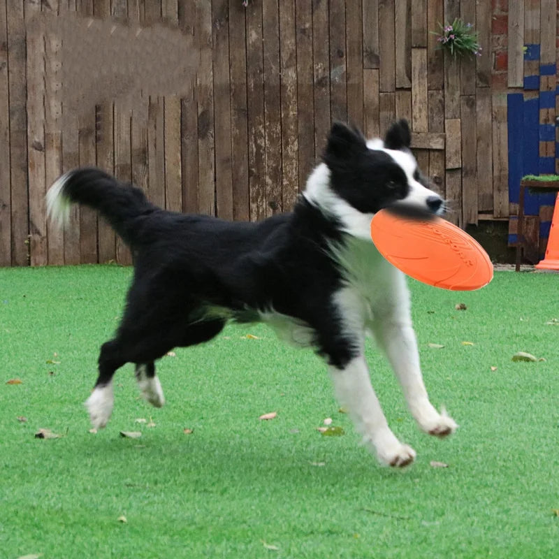 Silicone Flying Disc Dog & Cat Toy – Durable Rubber Frisbee for Interactive Play