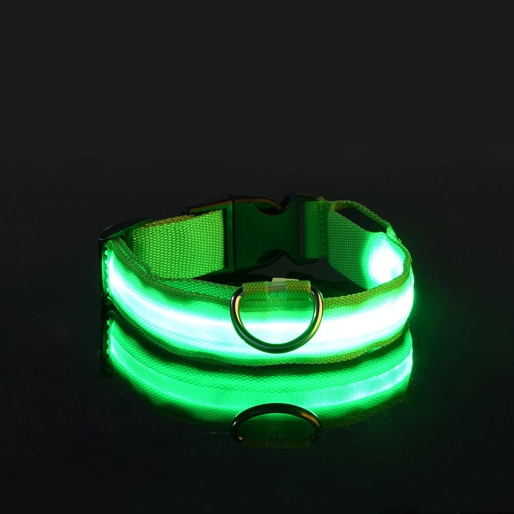 LED Light-Up Dog Collar – Nylon Night Safety Flashing Collar for Dogs