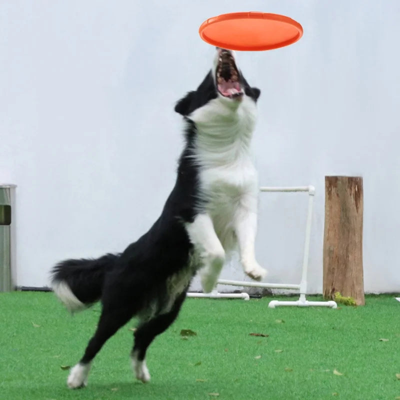 Silicone Flying Disc Dog & Cat Toy – Durable Rubber Frisbee for Interactive Play
