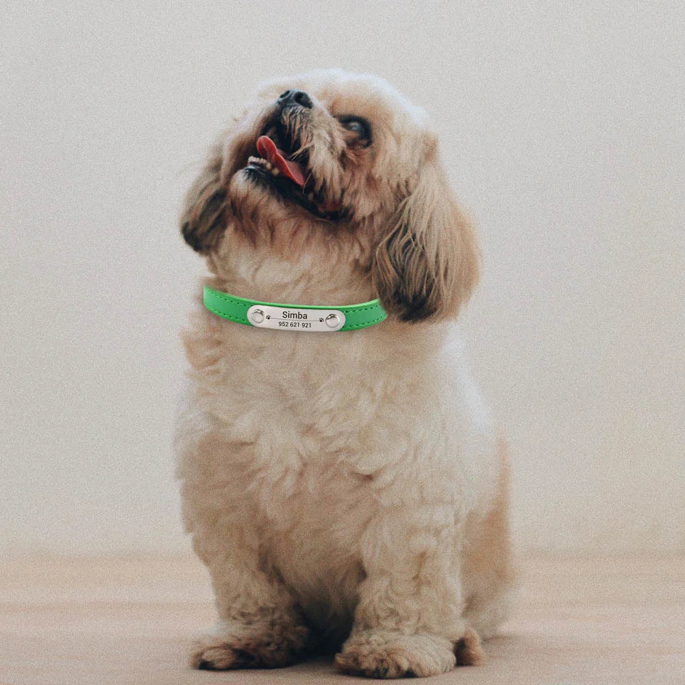 Personalized Pet Collar with Engraved ID Tag – PU Leather, Anti-Lost