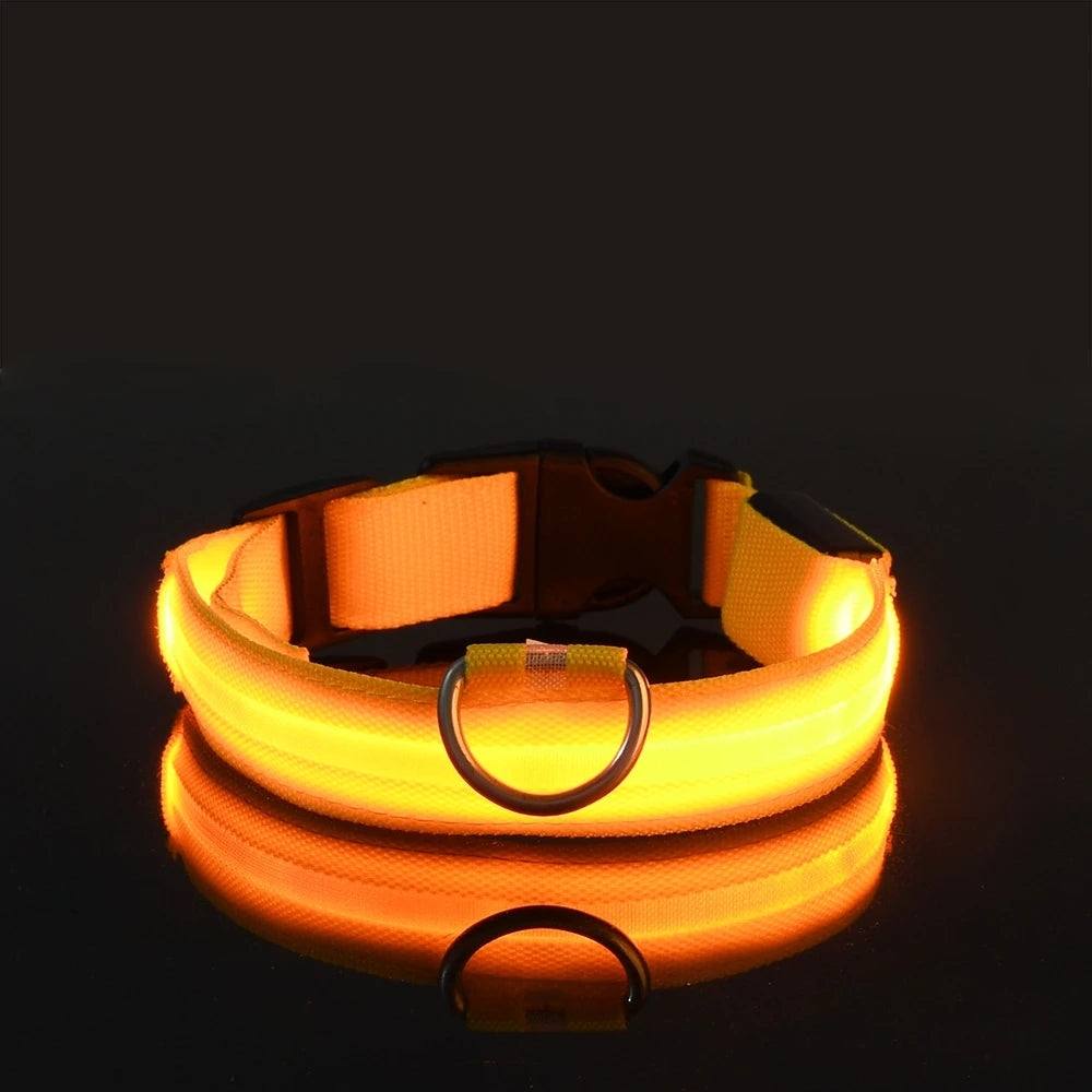 LED Light-Up Dog Collar – Nylon Night Safety Flashing Collar for Dogs