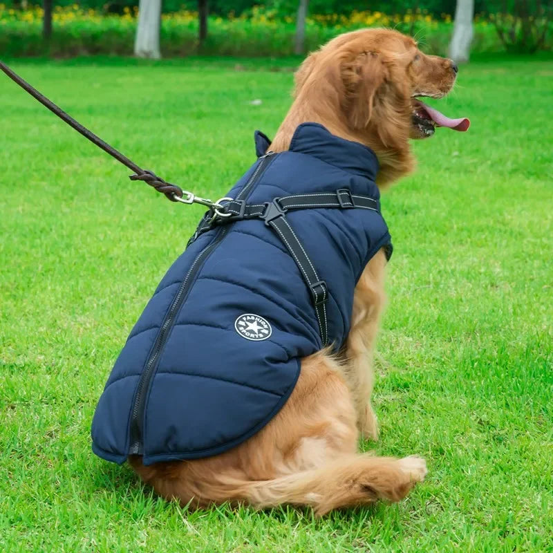 Winter Dog Jacket with Harness – Waterproof & Warm Coat for Large & Small Dogs