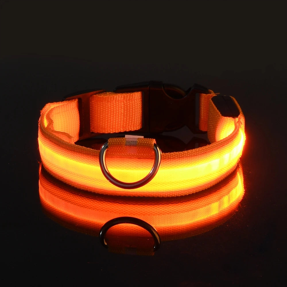 LED Light-Up Dog Collar – Nylon Night Safety Flashing Collar for Dogs