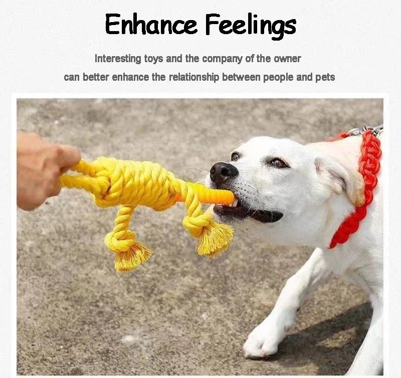 Cotton Rope Dog Toy – Chew & Tug Toy for Puppies & Dogs