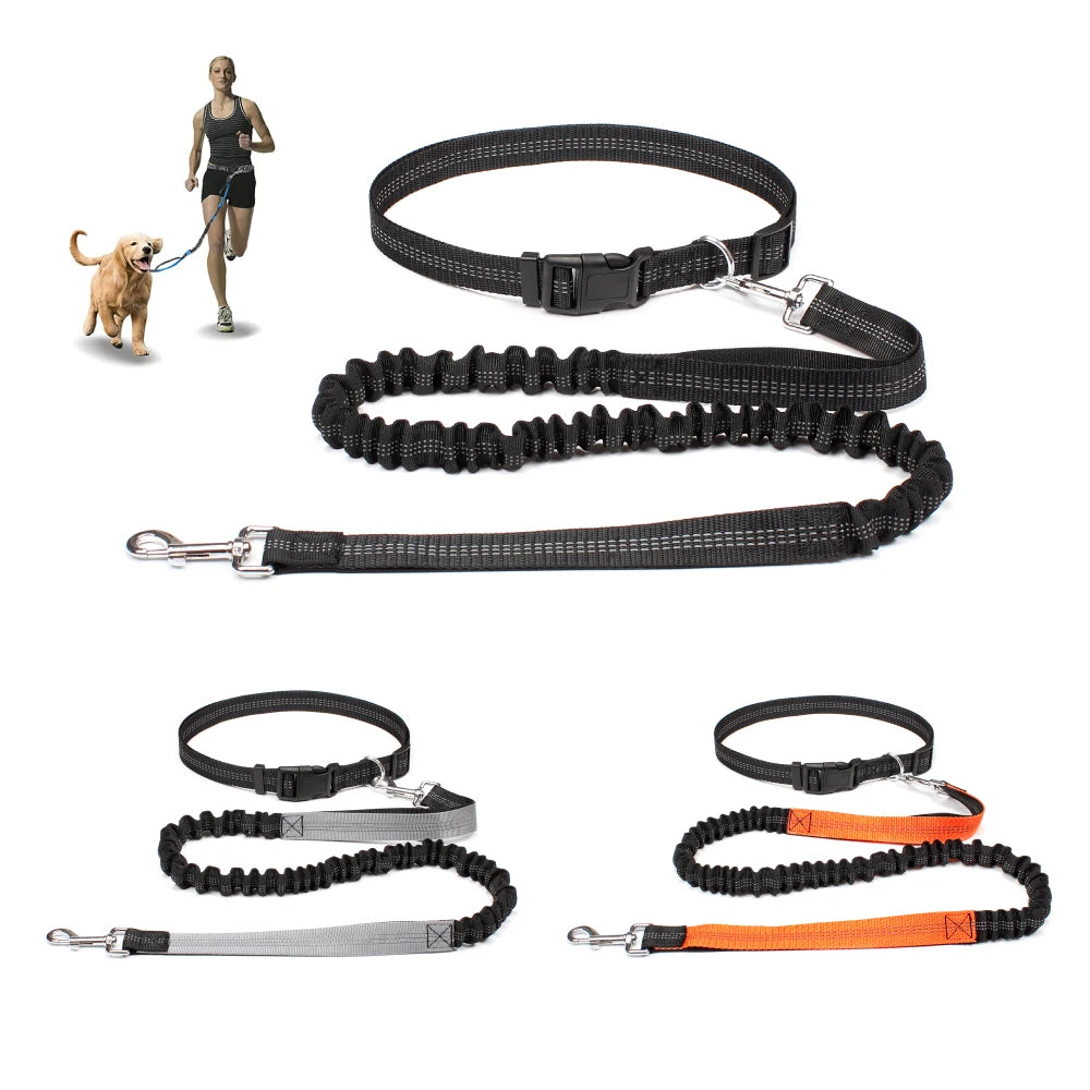 Hands-Free Dog Leash – Adjustable Waist Belt with Reflective Bungee for Running & Walking