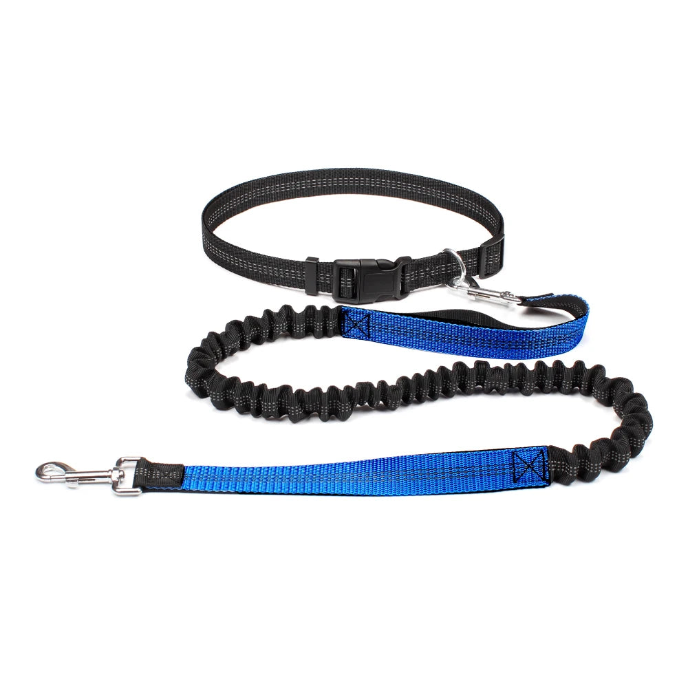 Hands-Free Dog Leash – Adjustable Waist Belt with Reflective Bungee for Running & Walking
