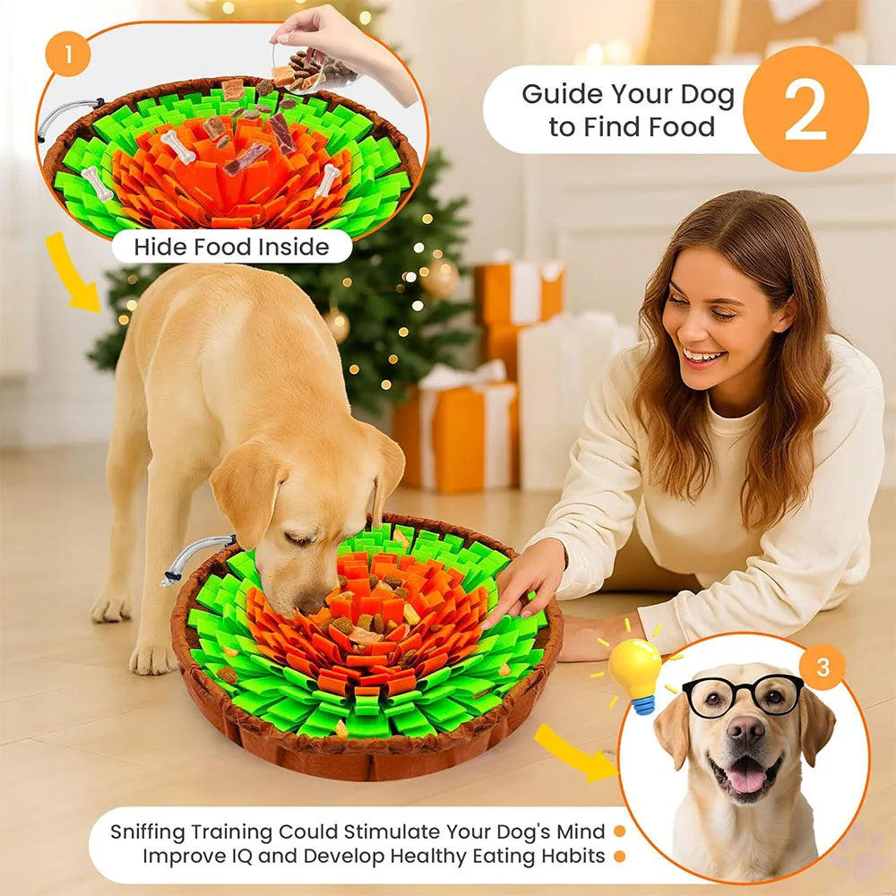 2-in-1 Dog Snuffle Mat & Slow Feeder – Interactive Foraging Toy for Mental Stimulation & Anxiety Relief | Cats & Dogs