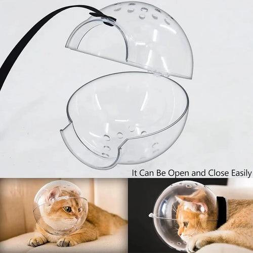 Breathable Cat Bubble Muzzle – Transparent Protective Helmet for Grooming & Anti-Bite Safety