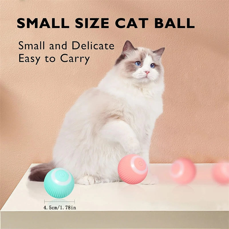 Smart Interactive Pet Ball – USB Rechargeable Auto-Moving Toy for Dogs & Cats