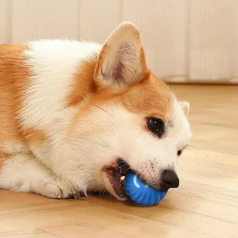 Smart Interactive Pet Ball – USB Rechargeable Auto-Moving Toy for Dogs & Cats