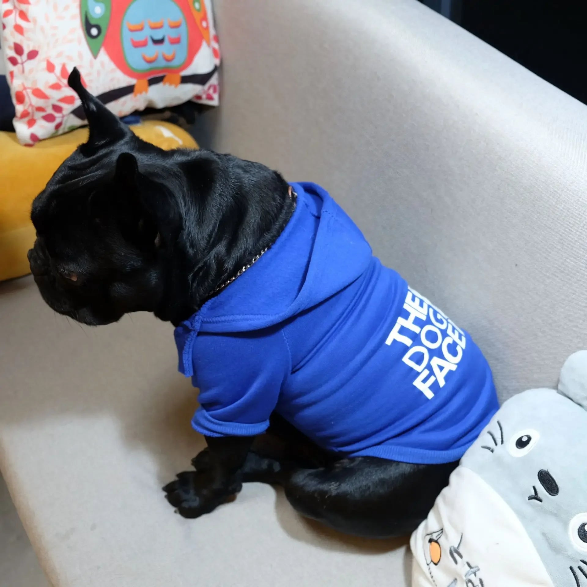 Dog Hoodie – Reflective All-Season Jacket for Medium & Large Breeds