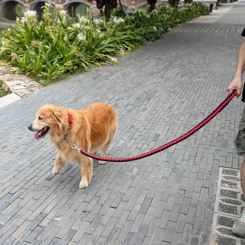Heavy-Duty Braided Nylon Dog Leash – Strong & Durable for All Dog Sizes | S/M/L/XL