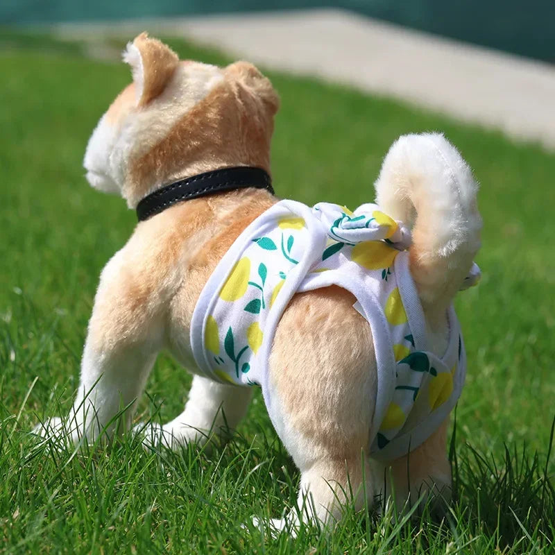 Dog & Cat Washable Physiological Pants – Reusable Pet Diapers for Female Dogs & Cats