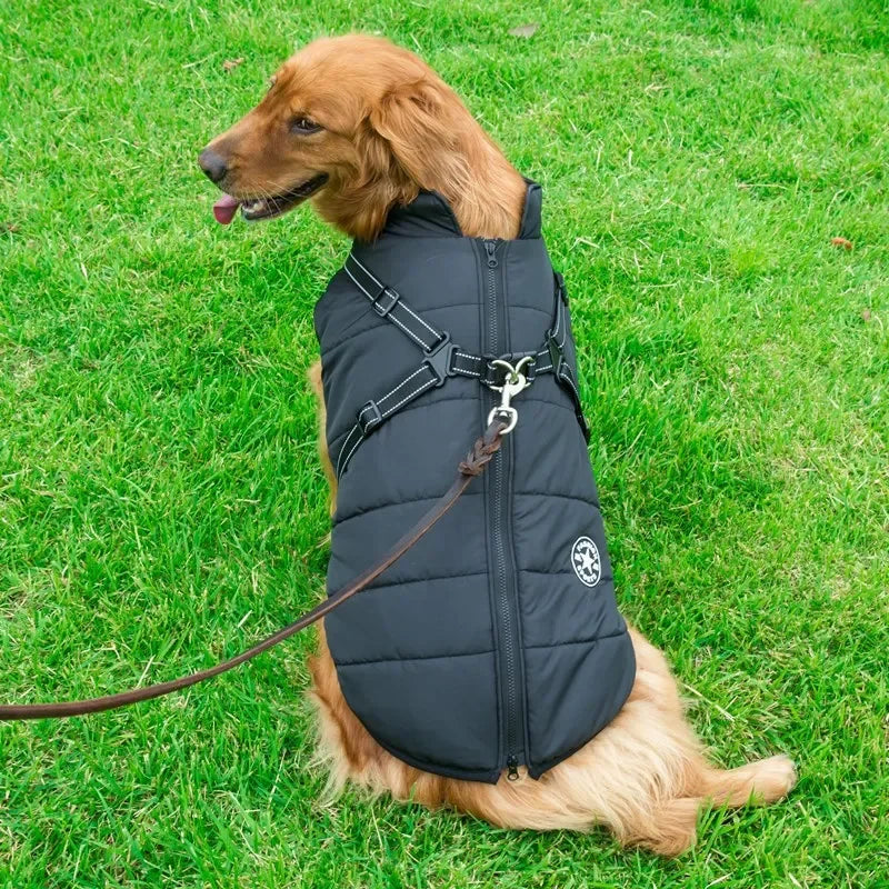 Winter Dog Jacket with Harness – Waterproof & Warm Coat for Large & Small Dogs