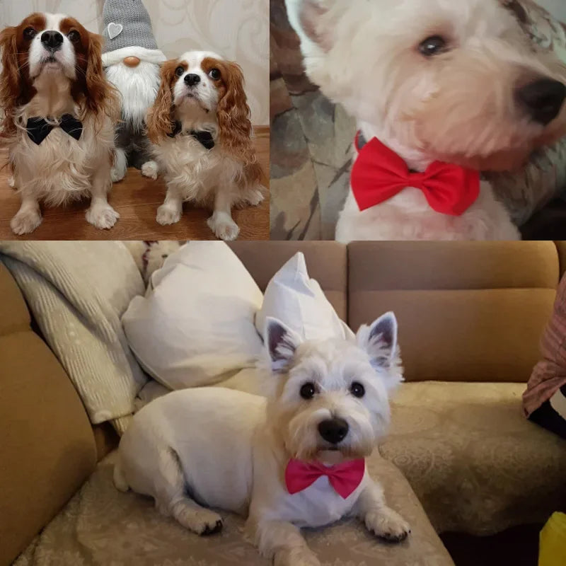 Adjustable Pet Bow Tie – Cats & Dogs | Stylish Collar Accessory