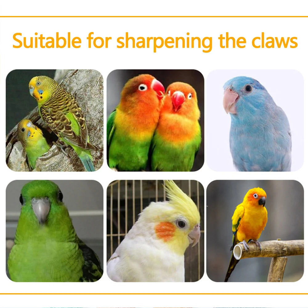 Colorful Wood Parrot Perch Stand – Bird Cage Toy for Small & Medium Birds