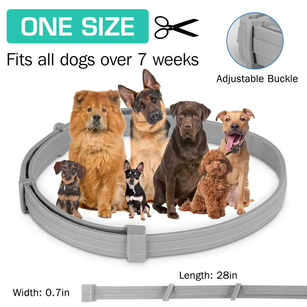 Flea & Tick Protection Collar for Dogs & Cats
