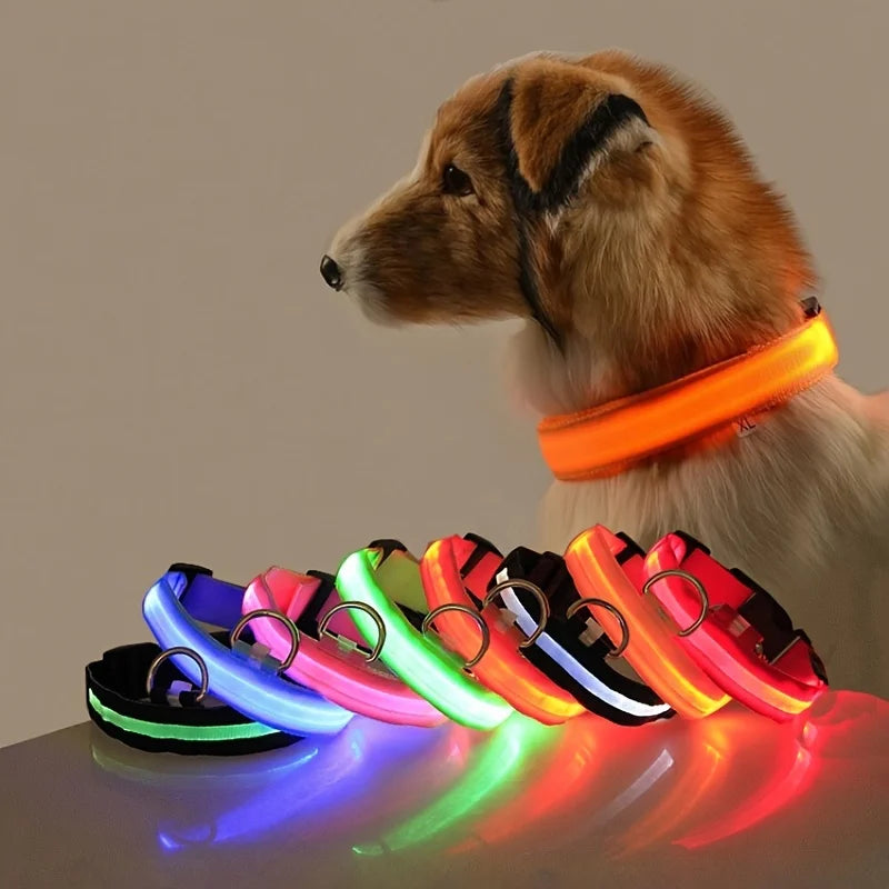 LED Light-Up Dog Collar – Nylon Night Safety Flashing Collar for Dogs