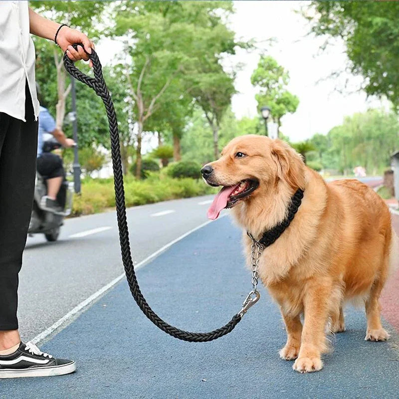 Heavy-Duty Braided Nylon Dog Leash – Strong & Durable for All Dog Sizes | S/M/L/XL