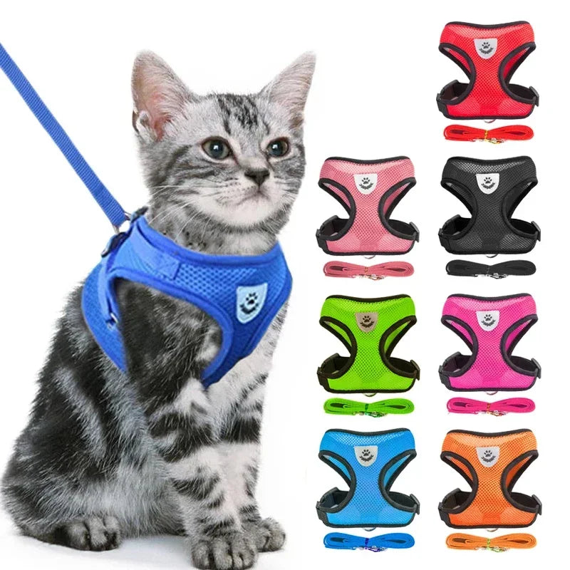 Adjustable Reflective Cat & Dog Harness Vest with Leash – Soft Mesh | S/M/L